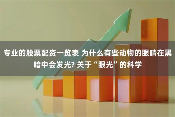 专业的股票配资一览表 为什么有些动物的眼睛在黑暗中会发光? 关于“眼光”的科学