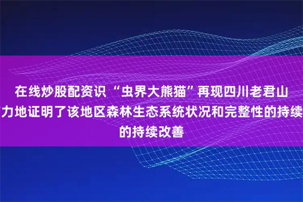 在线炒股配资识 “虫界大熊猫”再现四川老君山这有力地证明了该地区森林生态系统状况和完整性的持续改善